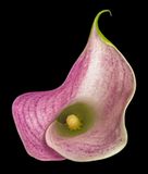2022-12-07-03.26.44 ZS PMax_openWith.jpg