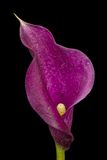 2022-12-09-10.00.54 ZS PMax_openWith.jpg