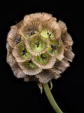 2023-01-20-02.23.55 ZS PMax_openWith.jpg