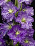 2023-01-20-10.36.55 ZS PMax_openWith.jpg