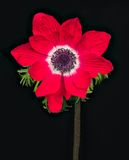 2023-01-21-01.23.56 ZS PMax_openWith.jpg