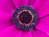 2023-01-25-05.41.42 ZS PMax_openWith.jpg