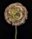 2023-01-26-11.53.35 ZS PMax_openWith.jpg