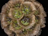 2023-01-26-12.39.59 ZS PMax_openWith.jpg