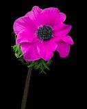 2023-01-28-10.21.13 ZS PMax_openWith.jpg