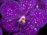 2023-01-30-11.45.19 ZS PMax_openWith.jpg