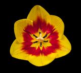 2023-02-03-09.06.14 ZS PMax_openWith.jpg