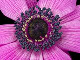 2023-02-03-12.04.35 ZS PMax_openWith.jpg