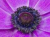 2023-02-05-11.59.38 ZS PMax_openWith.jpg