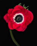 2023-02-08-02.46.51 ZS PMax_openWith.jpg