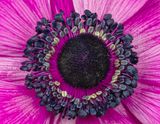 2023-02-21-02.25.53 ZS PMax_openWith.jpg