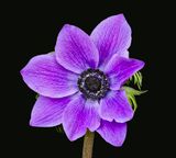 2023-02-26-09.14.55 ZS PMax_openWith.jpg