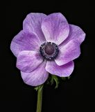 2023-04-06-10.06.36 ZS PMax_openWith.jpg