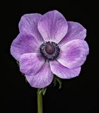 2023-04-06-10.17.58 ZS PMax_openWith.jpg