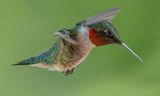 _DSC6904_openWith.jpg