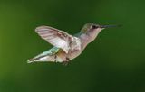_DSC7680_openWith.jpg