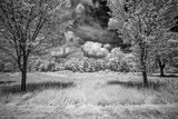 _DSC7611_openWith.jpg