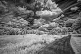 _DSC7644_openWith.jpg