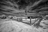 _DSC7586_openWith.jpg