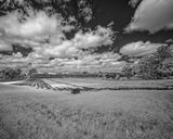 _DSC7689_openWith.jpg