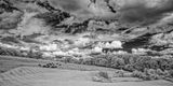 _DSC7764_openWith.jpg
