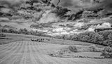 _DSC7765_openWith.jpg