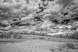 _DSC7775_openWith.jpg
