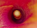 2023-10-23-02.17.37 ZS PMax_openWith.jpg