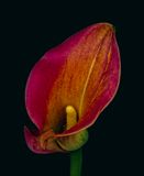 2023-11-08-11.34.58 ZS PMax_openWith.jpg