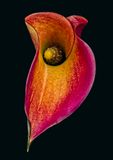2023-11-11-12.50.51 ZS PMax_openWith.jpg