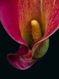 2023-11-13-07.19.05 ZS PMax_openWith.jpg