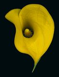 2023-11-17-10.03.04 ZS PMax_openWith.jpg