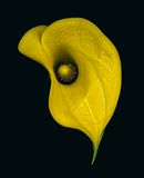 2023-11-19-02.15.53 ZS PMax_openWith.jpg