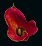 2023-11-20-03.52.26 ZS PMax_openWith.jpg