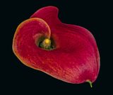 2023-11-23-10.37.02 ZS PMax_openWith.jpg