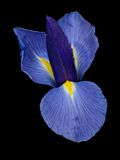 2024-01-11-08.49.24 ZS PMax_openWith.jpg