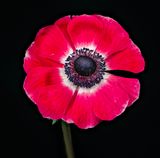 2024-01-17-11.00.16 ZS PMax_openWith.jpg