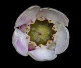 2024-02-01-02.32.35 ZS PMax_openWith.jpg