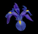 2024-02-04-11.42.08 ZS PMax_openWith.jpg