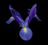 2024-02-04-09.34.36 ZS PMax_openWith.jpg