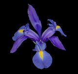 2024-02-04-02.21.15 ZS PMax_openWith.jpg