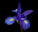 2024-02-07-01.31.17 ZS PMax_openWith.jpg