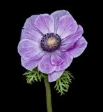 2024-02-10-12.59.07 ZS PMax_openWith.jpg