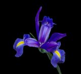 2024-02-16-01.09.24 ZS PMax_openWith.jpg