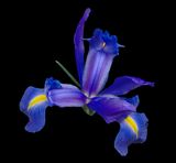 2024-02-16-01.47.57 ZS PMax_openWith.jpg