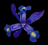 2024-02-20-02.08.45 ZS PMax_openWith.jpg