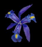 2024-02-20-01.20.42 ZS PMax_openWith.jpg