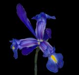 2024-02-21-01.06.32 ZS PMax_openWith.jpg