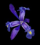 2024-02-21-01.51.54 ZS PMax_openWith.jpg