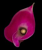 2024-02-21-02.42.06 ZS PMax_openWith.jpg